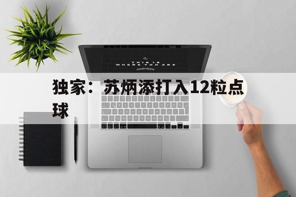 包含独家：苏炳添打入12粒点球的词条|完美真人平台